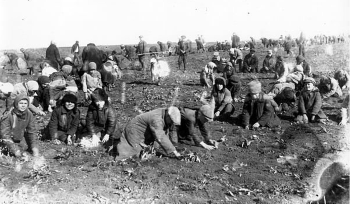 Canada, Jones, and Holodomor